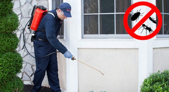 Kumluca Fare İlaçlama böcek ilaçlama ve haşere kontrolü — ilaclama-tr.com